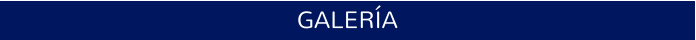 GALERÍA